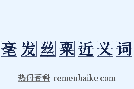 毫发丝粟近义词是什么意思的图片